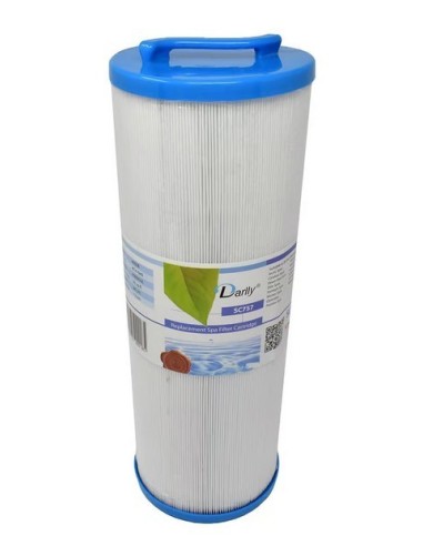 Filter voor spa Darlly SC757 - Darlly