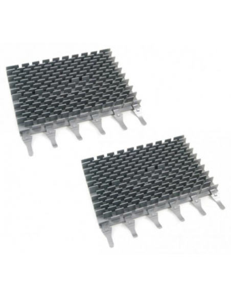 Brosses pour robot Zodiac CyclonX ( x 2) - grise